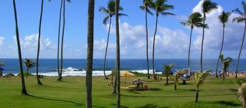 jardim-de-alah-credito-google_0