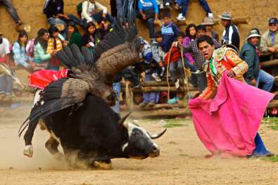 Tourada Chalhuanca 2