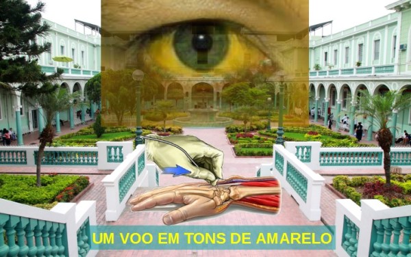 Um voo em tons de amarelo