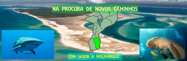 Na procura de novos caminhos