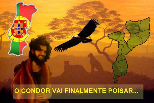 O condor vai finalmente poisar