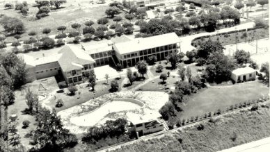 fb-guta-cabral-grc3a9mio-de-lm-02