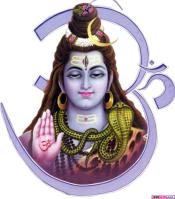 shiv