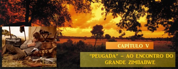 Capítulo V - Peugada