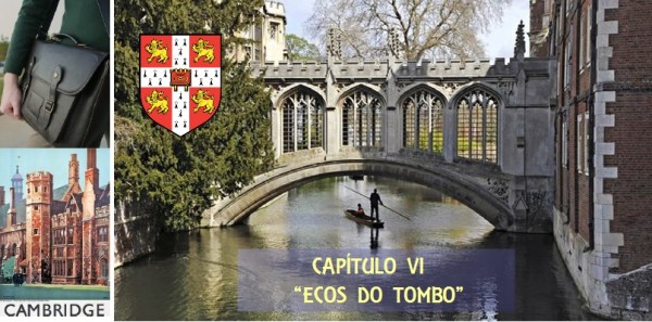 Capítulo VI - Ecos do Tombo