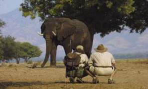 walking_safari_zimbabwe