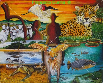 Portfolio - Pantanal-Comp-marcado